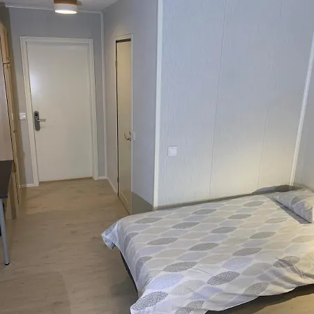 Hotel Hotelli Uninen Aeaenekoski Aanekoski