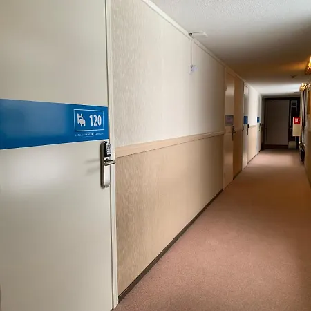 Hotel Hotelli Uninen Aeaenekoski 3*