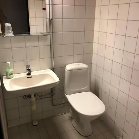Hotelli Uninen Aeaenekoski 3* Aanekoski